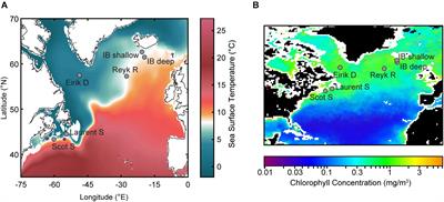 Exceptional 20th Century Shifts in Deep-Sea Ecosystems Are Spatially Heterogeneous and Associated With Local Surface Ocean Variability